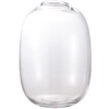 YANWE1 Clear Glass Vase, 10 Inches Large Glass Vase, Tall