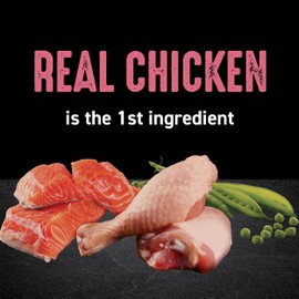 CRAVE Grain Free Indoor Adult High Protein Natural Dry Cat Food with Protein from Chicken & Salmon, 10 lb. Bag