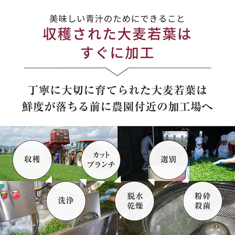 nichie 大麦若葉 青汁 100% 九州産 お茶製法 100g