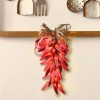 Elegani 10 LED Chili Pepper String Lights – Warm White