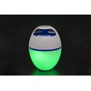 Bestway Flowclear MusicWave Floating Bluetooth Speaker | Use in Swimming