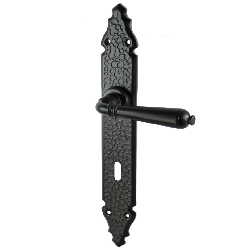 ALSTEN TECH Door Fitting Handle Set Door Handle BB PZ