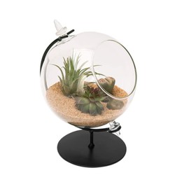 Panacea 82149 Desktop Glass Terrarium with Metal Stand, 4" Dia