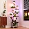 Quikraen Plant Stand Indoor with Grow Lights 64" Tall Plant
