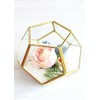 Floral Home Hira Glass Geometric Terrarium in Gold - 4.5"