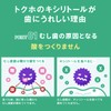 【トクホ】ロッテ キシリトールガム<ライムミント> 21g(14粒)×20個