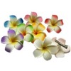 4Pcs Hair Flower Clips, 7cm White and Pink Hawaiian Frangipani,