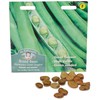 Mr Fothergill's 20086 Broad Bean Masterpiece Green Longpod