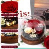 MOKOQI MOKOQI Birthday Gifts for Women Preserved Red Real Rose