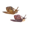 Kisangel Educational Snail Statues Simulation Animal Toys Snail Decorations Miniature