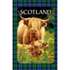 Thistle Products Highland Coo Tea Towel