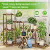 DAOTAILI Automatic Watering System for Potted Plants | Indoor Plant