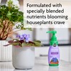 Miracle-Gro Blooming Houseplant Food - Fertilizer for Indoor Plants, 8