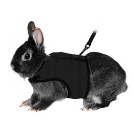 Hypeety Rabbit Kitten Harness Cat Leash for Small Animal Adjustable Soft Harness and Lead Set for Bunny Cat Little Pet Walking (L:Chest(7.87"-12.6"), Black)