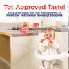 Enfagrow Premium Toddler Nutritional Drink, Natural Vanilla Flavor, Omega-3 DHA