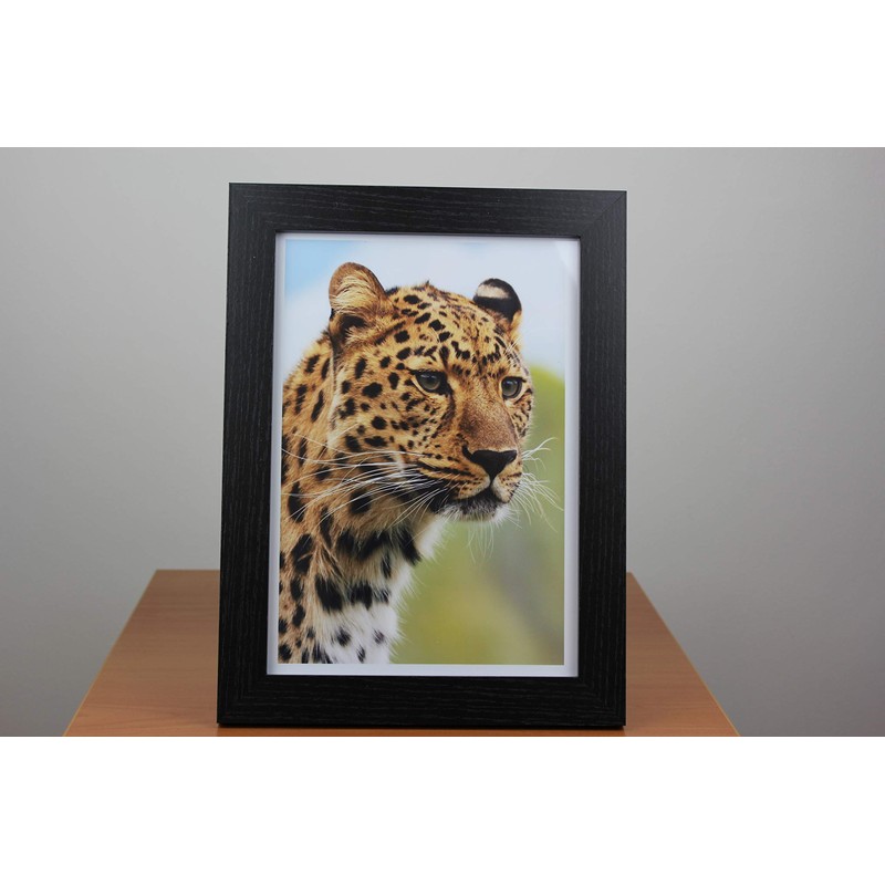 PPD Inkjet 8x10" Gloss Photo Paper Super Premium 280g -