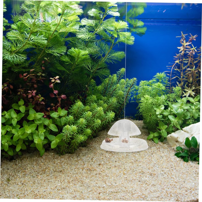 TEHAUX Snail Trap for Aquarium 2 Pieces Fish Tank Accessory