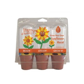 Childrens Sunflower Growing Race Set