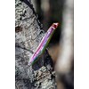 Rapala - Maxrap Walk'n Roll Fishing Lure Construction ABS -