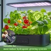 GOTVUGE 50pcs Grow Sponges for Hydroponics, Hydroponics Growing System Pods,