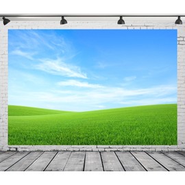 CORFOTO 10x8ft Fabric Green Grass Field Sky Backdrop Spring Blue Sky White Cloud Background for Photography Green Meadow Decorations Kids Birthday Party Baby Shower Photoshoot Studio Props