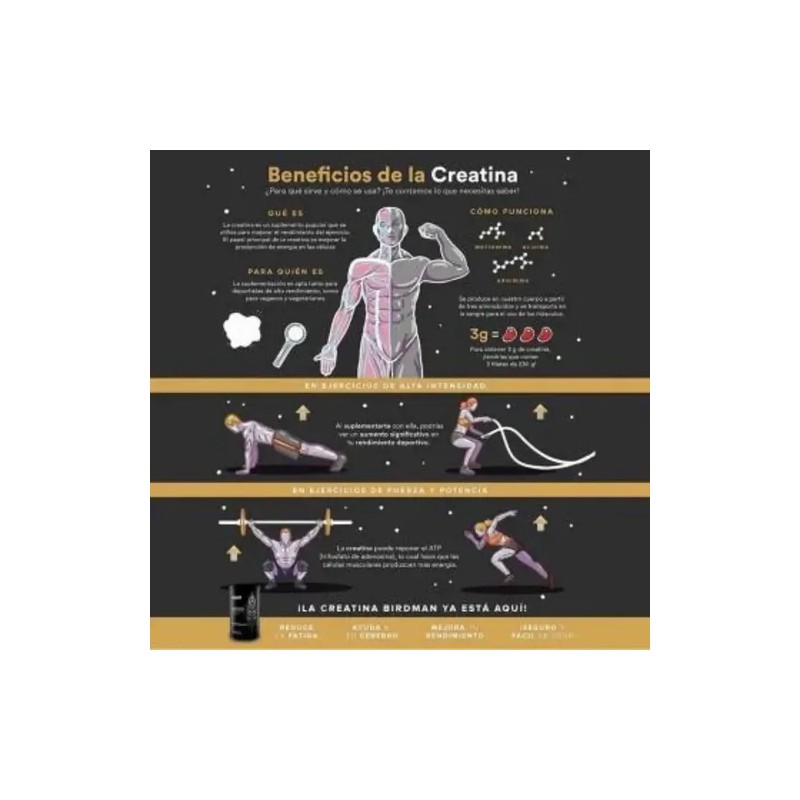 Creatina Monohidratada Birdman Performance 700g