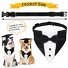 GOYOSWA Dog Graduation Cap and Tuxedo Collar, Adjustable Dog Graduation