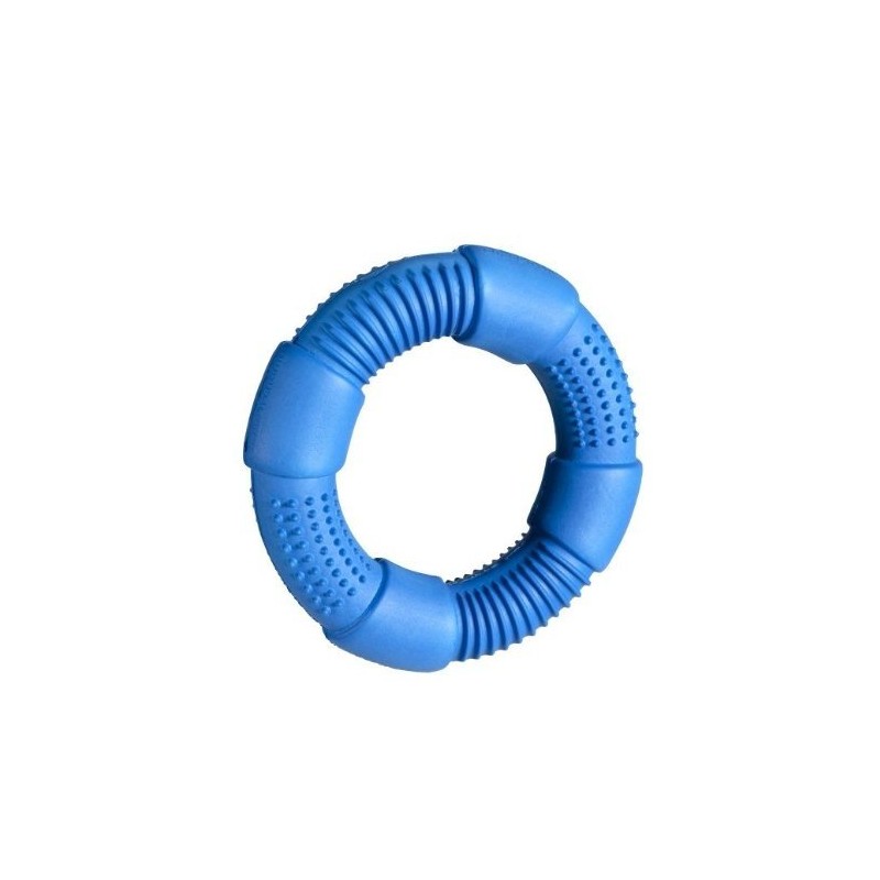 Chase 'n Chomp Go-Ring Pet Chew Toy, Small, Assorted Colors