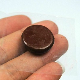 Torchwood Fishing Tackle Brown Tungsten Rig Putty Carp Fishing Terminal Tackle 20 grams NONTOXIC super sticky