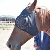 경주마 아이마스크 가리개 모래 방지 보호 [블루벨트] Racehorse Eye Mask