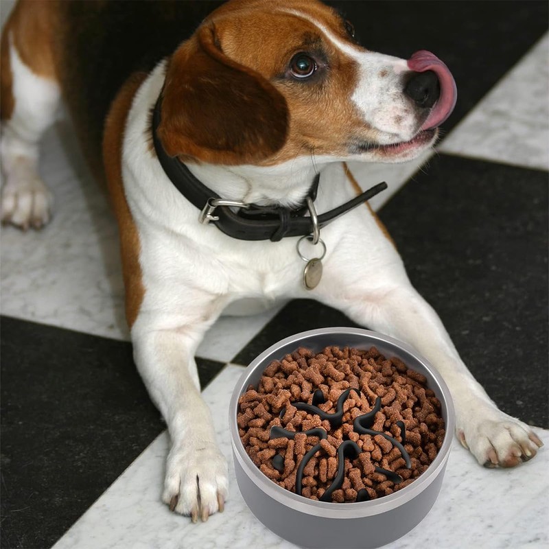 BTtime Eating Prevention, Slow Feeder, Dog Health Management, Reduces Stomach