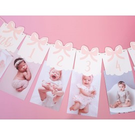 12 Month Bow Photo Banner - Milestone Bow Banner, Newborn To 12 Months, 1st Birthday Photo Banner For Baby From Newborn To 12 Months