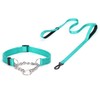 haoyueer Martingale Dog Collar with Stainless Steel Chain and Leash