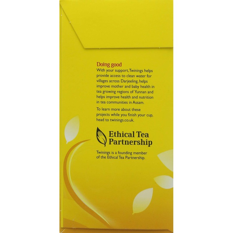 Twinings Everyday 100 per pack