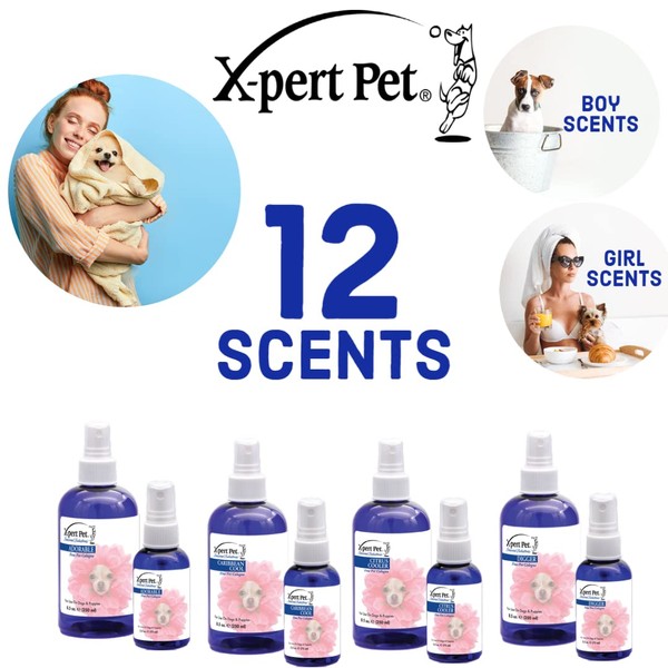 SHOW SEASON ANIMAL PRODUCTS 1 X-Pert Pet® Caribbean Cool 2.5 oz Pet Cologne | Long-Lasting Deodorizer | Paraben-Free | Biodegradable and Non-Toxic | Made in USA