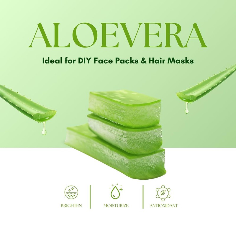 Hebhac Herbs Aloe Vera Leaf Powder Organic 100 g (3.5