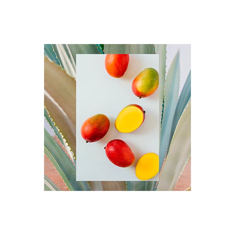 RAW SUGAR, The Bounce Back, Shampoo Hidratante y Fortalecedor, con