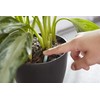 Miracle-Gro Indoor Plant Food Spikes, Plant Fertilizer, 1.1 oz., 24