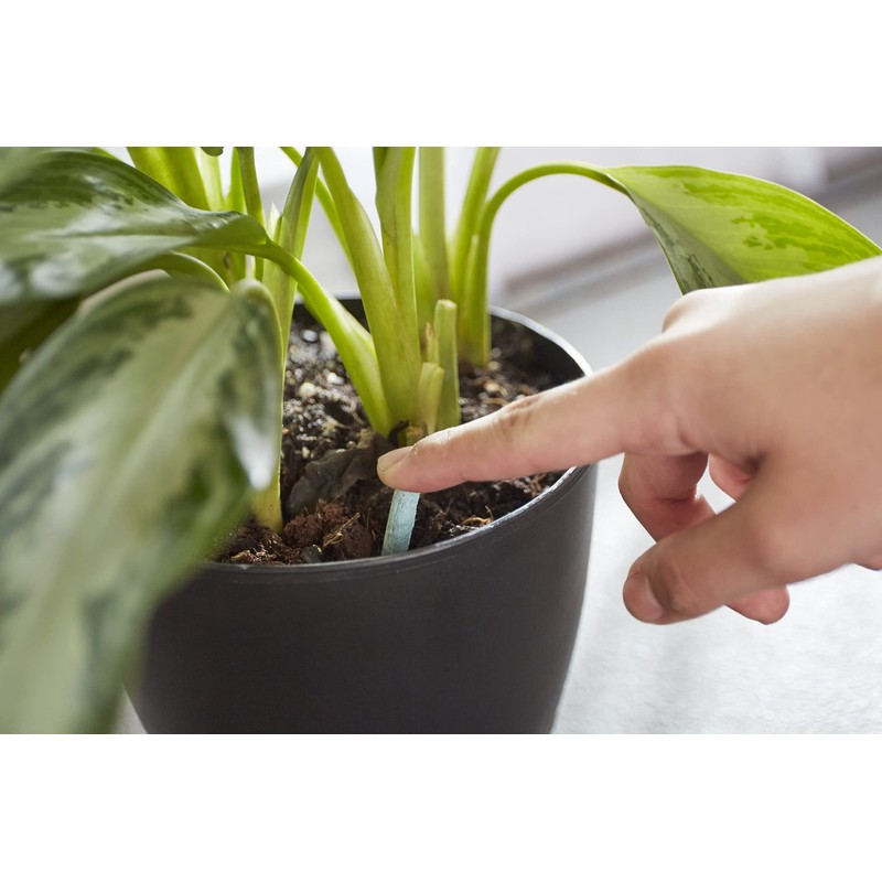 Miracle-Gro Indoor Plant Food Spikes, Plant Fertilizer, 1.1 oz., 24