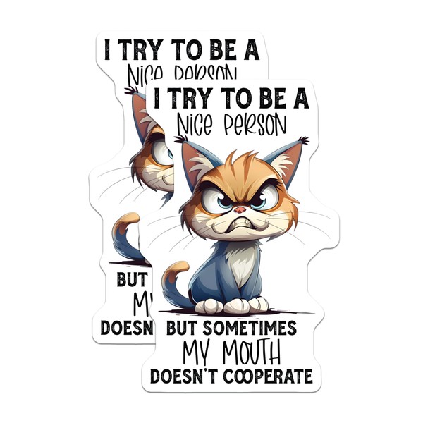 (2 Pack) Funny Cat Magnets - Sarcastic Kitty Humor -