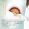 Osaka Choseido Folding Fan, Women's, Stylish, Business, Folding Fan Bag,