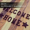Iron Miscellaneous Goods Iron Alphabet Design: F Size: Small Z3K