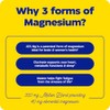 Enzymedica Magnesium Motion Mg ATA Mg Glycinate Malate 60 Tablets