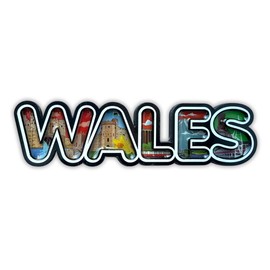 SAJAK Set of 4 Wales Fridge Magnets – Wooden & Resin Souvenir Pack Featuring Welsh Flag, Cardiff Castle, Red Dragon & Snowdonia – UK Travel Gift, Home Kitchen Decor, Collectible, Tourist Keepsake