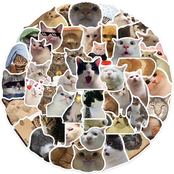 Pack of 50 Funny Meme Sticker Set, Meme Stickers for