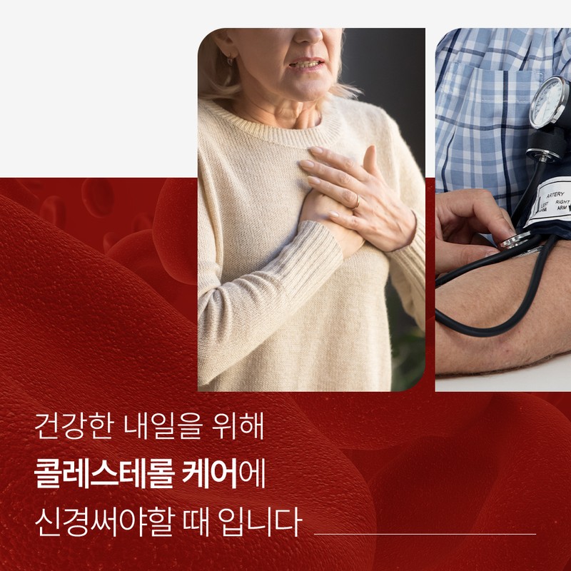 Soltis Salty Cholesterol HDL LDL Red Yeast Milk Thistle Zinc