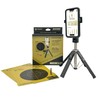 Triumph Systems Brass Dry Fire Laser Training System-Includes Laser, Targets,