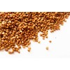 Altai Buckwheat Seeds, 28.7 oz (800 g) x 2 Bags,