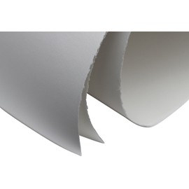 Speedball Arnhem 1618 Printmaking Paper, 8-1/2 x 11 in, 90 lb, White, Pack of 100