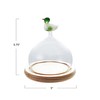 Creative Co-Op Glass Cloche with Wood Base and Duck Topper,